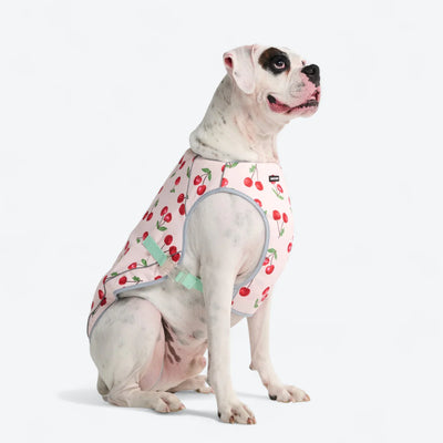 Evaporative Heat Shield Cooling Vest